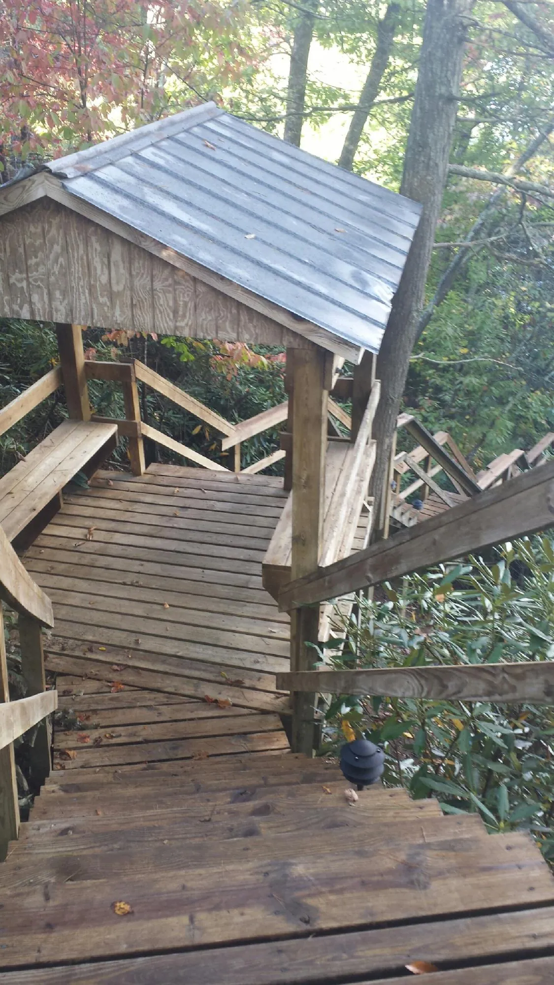 Metal roofed shelter over wooden steps on a wooded walkway — Skylight Repair & Installation work by our crew in Alachua